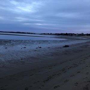 Meet your Posher, Bailey